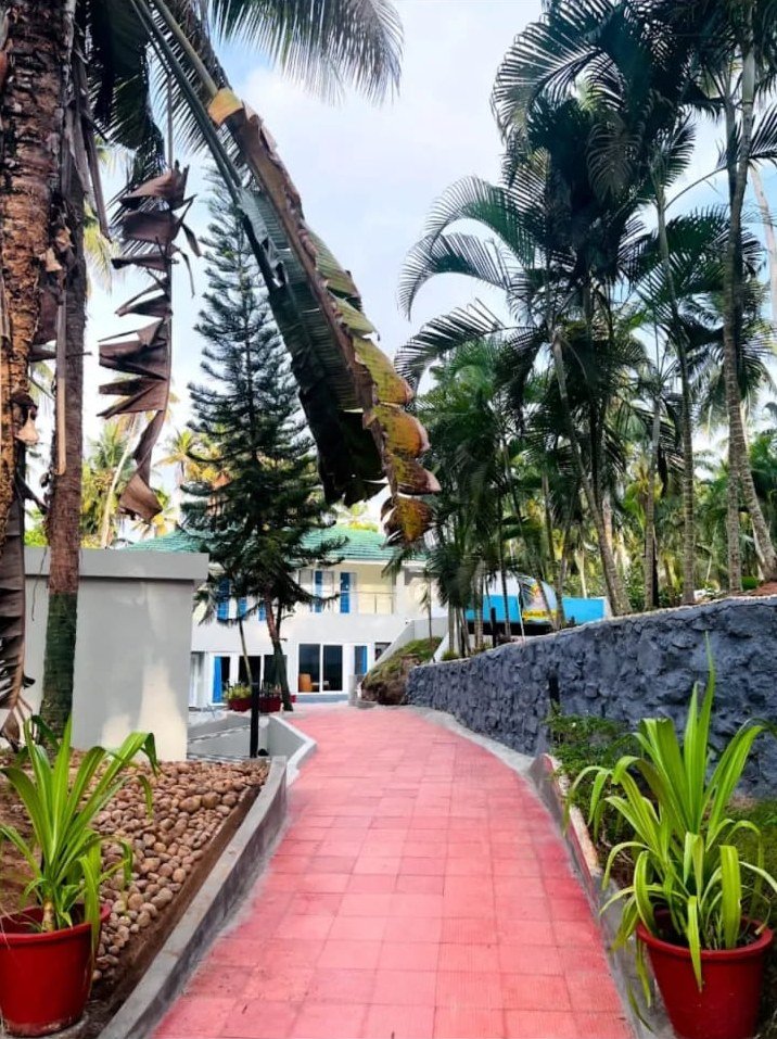Brick-red walkway between palm trees