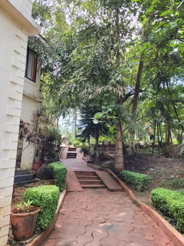Garden steps and path